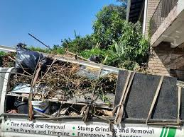 Best Hoarding Cleanup  in South Pittsburg, TN